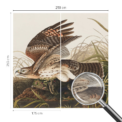 Fototapete fürs Schlafzimmer Geflügelte Schönheit