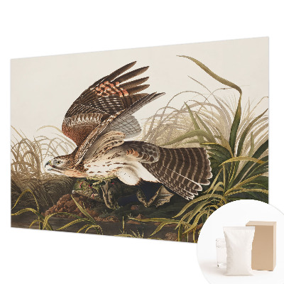 Fototapete fürs Schlafzimmer Geflügelte Schönheit