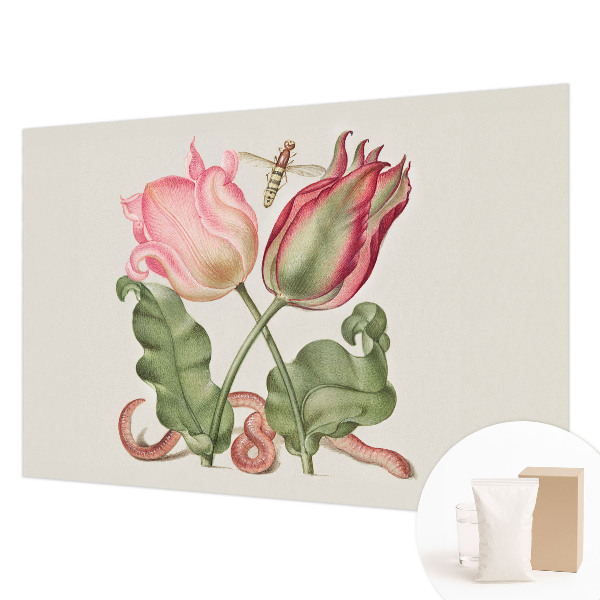 Vliestapete fürs Wohnzimmer mit Tulpenmotiv