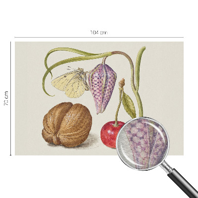Moderne Vlies-Fototapete mit Schmetterlingspflanzen-Motiv