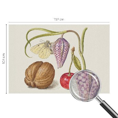 Moderne Vlies-Fototapete mit Schmetterlingspflanzen-Motiv