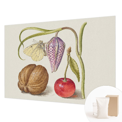 Moderne Vlies-Fototapete Schmetterlingspflanze