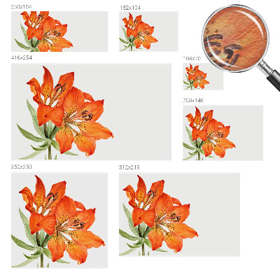 Motivtapete mit orangefarbenen Lilienmotiven