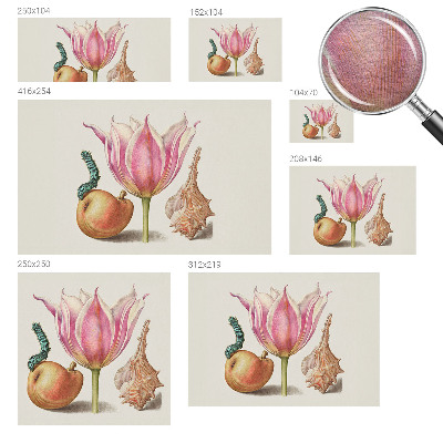 Bildtapete Natürliche Symbiose