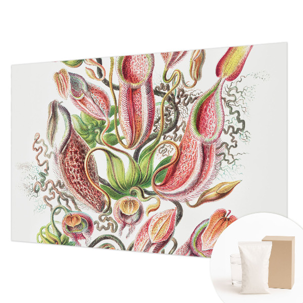 Fototapete fürs Schlafzimmer Pflanzendetails