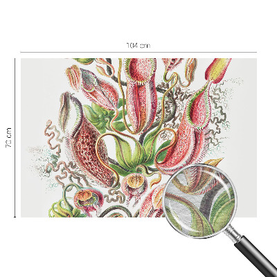 Fototapete fürs Schlafzimmer Pflanzendetails