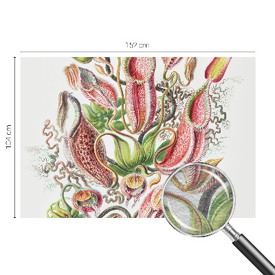 Fototapete fürs Schlafzimmer Pflanzendetails