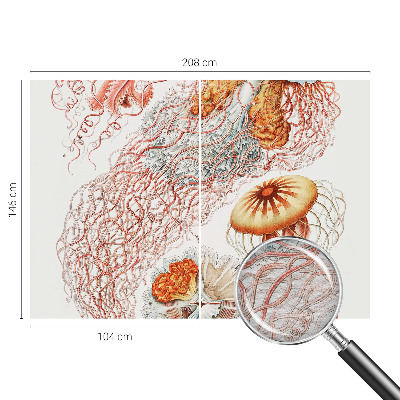 Motivtapete aus Vlies Zierqualle
