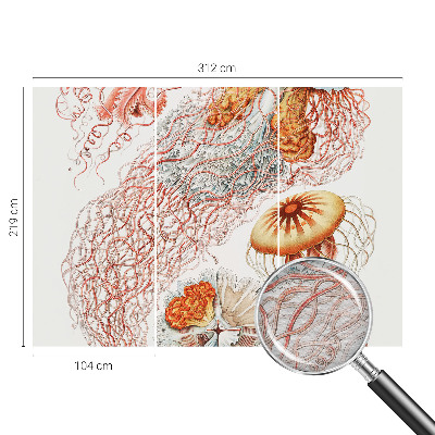 Motivtapete aus Vlies Zierqualle