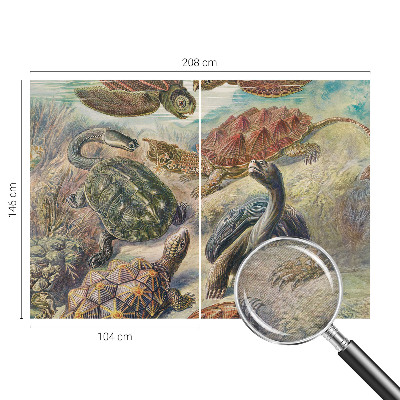 Vlies-Fototapete nach Maß mit Motiv der Schildkrötenfauna