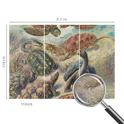 Vlies-Fototapete nach Maß mit Motiv der Schildkrötenfauna