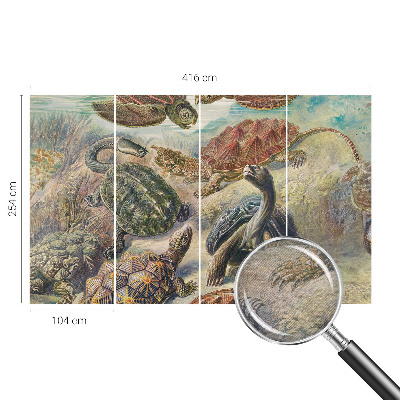 Vlies-Fototapete nach Maß mit Motiv der Schildkrötenfauna