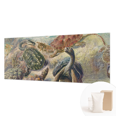 Vlies-Fototapete nach Maß Schildkrötenfauna