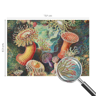 Vlies-Fototapete fürs Wohnzimmer mit Motiv Zieranemonen