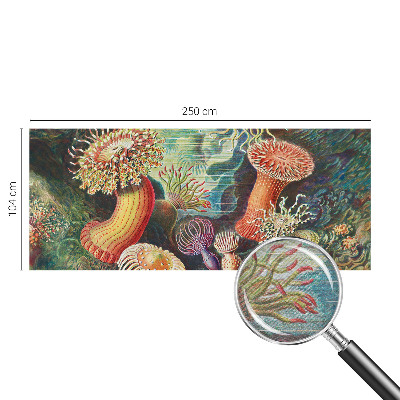 Vlies-Fototapete fürs Wohnzimmer mit Motiv Zieranemonen