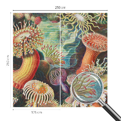 Vlies-Fototapete fürs Wohnzimmer mit Motiv Zieranemonen