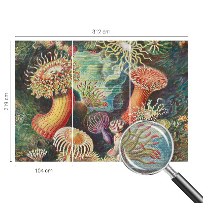 Vlies-Fototapete fürs Wohnzimmer mit Motiv Zieranemonen