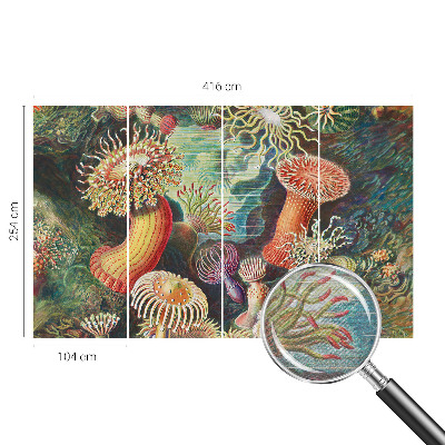 Vlies-Fototapete fürs Wohnzimmer mit Motiv Zieranemonen