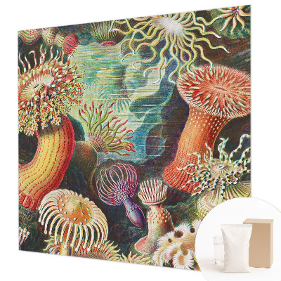 Vlies-Fototapete fürs Wohnzimmer mit Motiv Zieranemonen