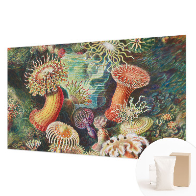 Vlies-Fototapete fürs Wohnzimmer mit Motiv Zieranemonen