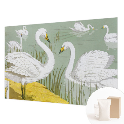 Vlies-Fototapete fürs Schlafzimmer mit Motiv „Schwanensee“