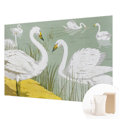 Vlies-Fototapete fürs Schlafzimmer mit Motiv „Schwanensee“