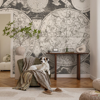 Vliestapete fürs Wohnzimmer Sternenkarte