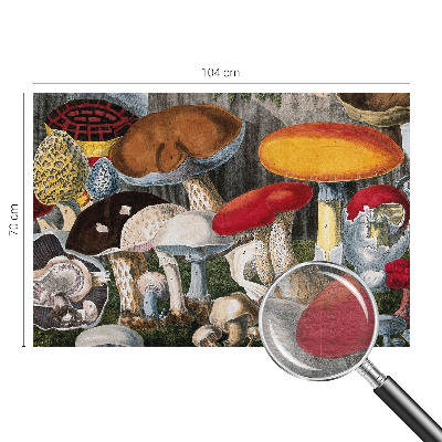 Wand-Fototapete Botanische Pilze