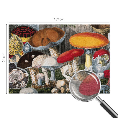 Wand-Fototapete mit botanischem Pilzmotiv