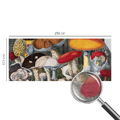 Wand-Fototapete mit botanischem Pilzmotiv