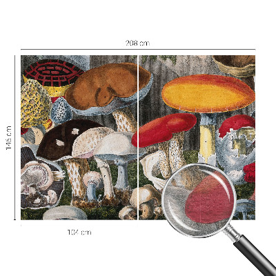 Wand-Fototapete mit botanischem Pilzmotiv