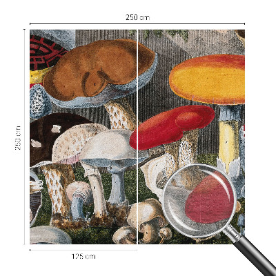 Wand-Fototapete mit botanischem Pilzmotiv