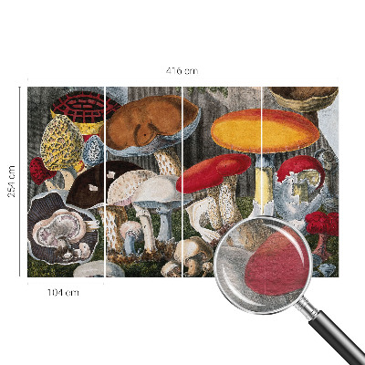 Wand-Fototapete mit botanischem Pilzmotiv