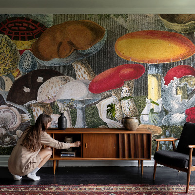 Wand-Fototapete Botanische Pilze