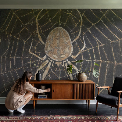 Fototapete nach Maß Spinnennetz