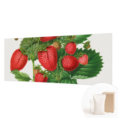 Wandtapete mit sommerlichen Früchten als Motiv