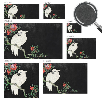 Fototapete aus Vlies Granatapfelpapagei