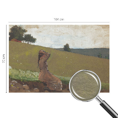 Vlies-Fototapete fürs Kinderzimmer Eine ruhige Szene