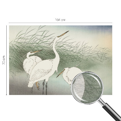 Vlies-Fototapete mit einem Reiher im Gras