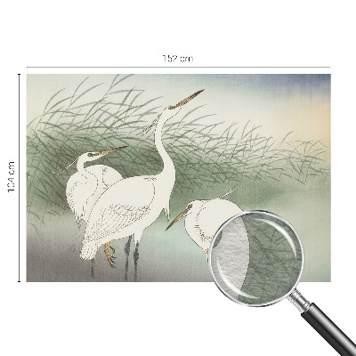 Vlies-Fototapete mit einem Reiher im Gras