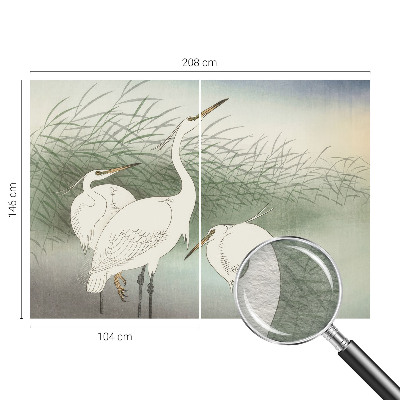 Vlies-Fototapete mit einem Reiher im Gras