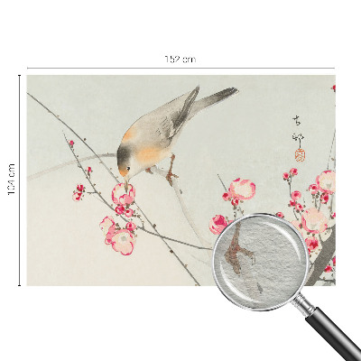 Fototapete fürs Wohnzimmer mit Blumen- und Vogelmotiv