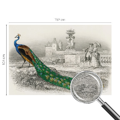 Motivtapete aus Vlies Bunte Federn