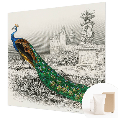 Motivtapete aus Vlies Bunte Federn