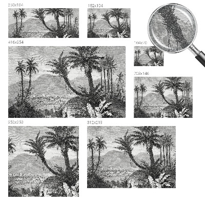 Vlies-Fototapete fürs Wohnzimmer Tropische Oase