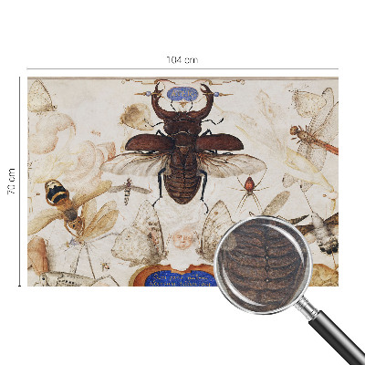 Vliestapete fürs Wohnzimmer Natürliche Harmonie