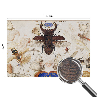 Vliestapete fürs Wohnzimmer Natürliche Harmonie