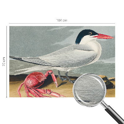 Fototapete nach Maß Meereslandschaft