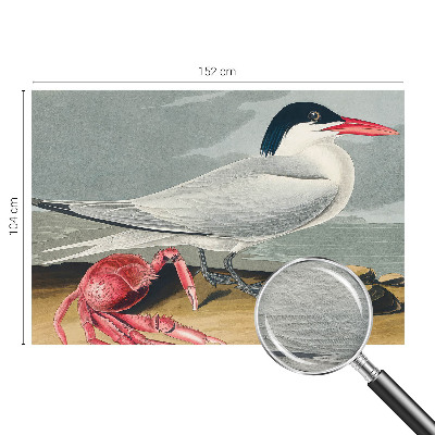 Fototapete nach Maß Meereslandschaft