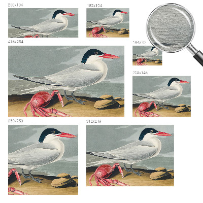 Fototapete nach Maß Meereslandschaft